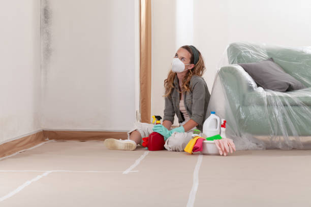 Reliable Mold Remediation contractor in Warren, OR by WQB Mold Removal